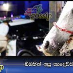 බීමතින් අසු පැදෙව්වාට දඩ