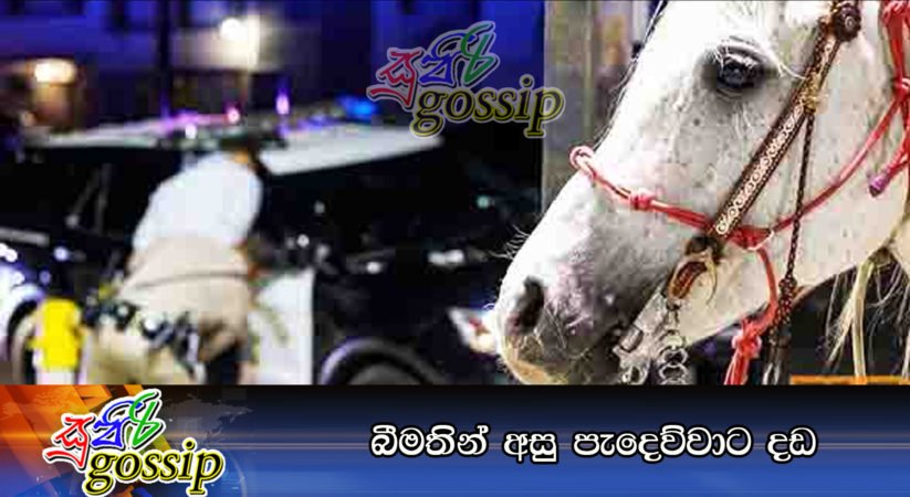 බීමතින් අසු පැදෙව්වාට දඩ