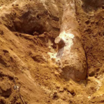 යටත් විජිත සමයේ බවට සැක කෙරෙන කාල තුවක්කුවක් පොළව යටින් මතුවෙයි