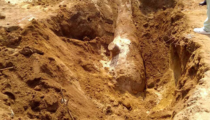 යටත් විජිත සමයේ බවට සැක කෙරෙන කාල තුවක්කුවක් පොළව යටින් මතුවෙයි