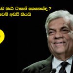 රනිල් වැඩ බැරි ටාසන් කෙනෙක්.. සියල්ල උඩු යටිකුරු කරමින් එජාප හිතවත් වෙබ් අඩවි කියයි..