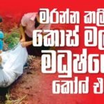 මරන්න කලින් කොස් මල්ලිට මධුෂ්ගෙන් කෝල් එකක් – ඇත්ත කතාව මෙන්න…