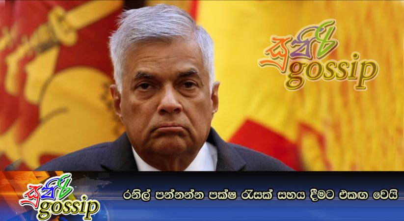 රනිල් පන්නන්න පක්ෂ රැසක් සහය දීමට එකඟ වෙයි
