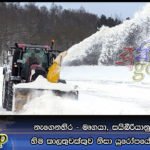 නැගෙනහිර – මෘගයා, සයිබීරියානු වළසා සහ හිම කාලතුවක්කුව නිසා යුරෝපයේ 60ක් මරුට