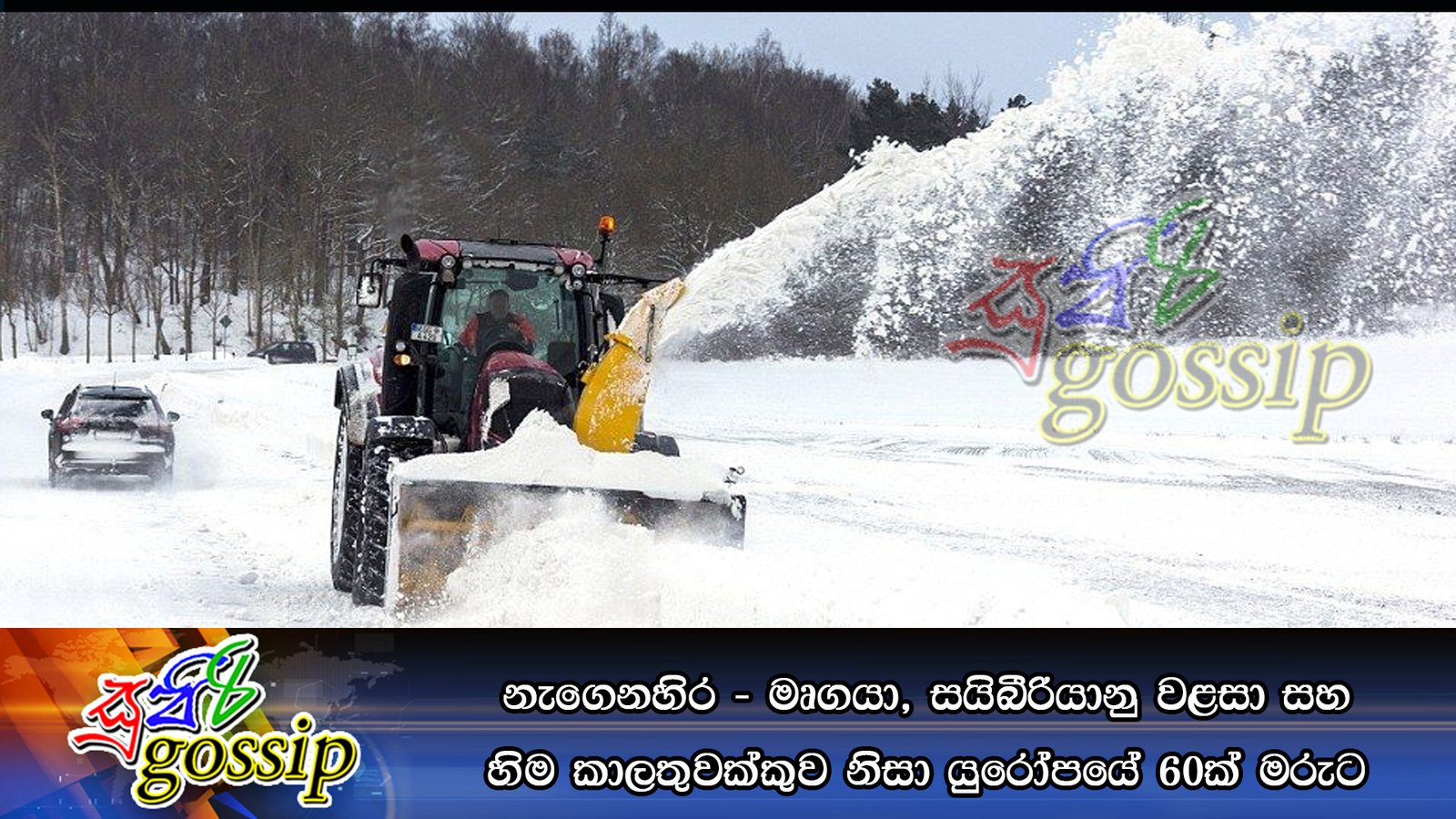 නැගෙනහිර – මෘගයා, සයිබීරියානු වළසා සහ හිම කාලතුවක්කුව නිසා යුරෝපයේ 60ක් මරුට