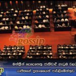 මන්ත්‍රීන් දෙදෙනෙකු ජාතිවාදී ගැටුම වලට වගකිවයුතු යයි රාජිතගේ ප්‍රකාශයෙන් පාර්ලිමේන්තුව උණුසුම් වෙයි