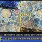 කිළිනොච්චියේ වැසියන්ට රුපියල් කෝටි ගණනක් අහිමි කළ ඊළාම් බැංකුවක පාස්‌පොත් ගණනාවක්‌ කිළිනොච්චියේ වළකින් මතු වේ