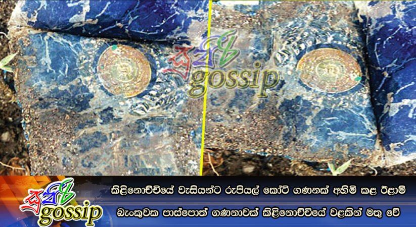 කිළිනොච්චියේ වැසියන්ට රුපියල් කෝටි ගණනක් අහිමි කළ ඊළාම් බැංකුවක පාස්‌පොත් ගණනාවක්‌ කිළිනොච්චියේ වළකින් මතු වේ