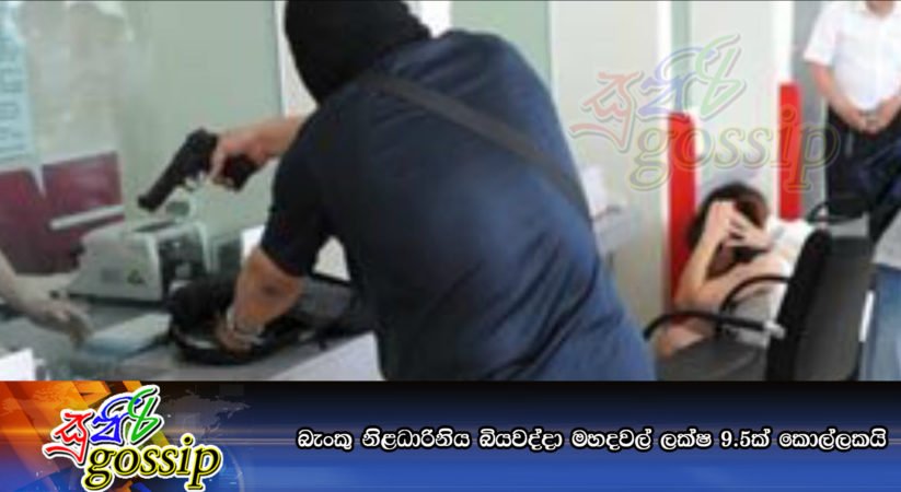 බැංකු නිළධාරිනිය බියවද්දා මහදවල් ලක්ෂ 9.5ක් කොල්ලකයි
