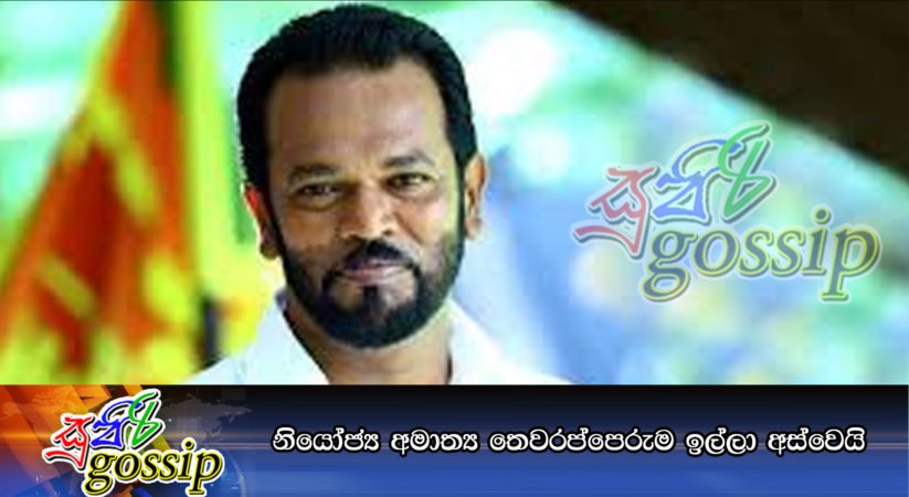 නියෝජ්‍ය අමාත්‍ය තෙවරප්පෙරුම ඉල්ලා අස්වෙයි