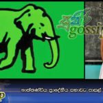 නාත්තණ්ඩිය ප්‍රාදේහීය සභාවට පාසල් සිසුවියක් තේරිලා