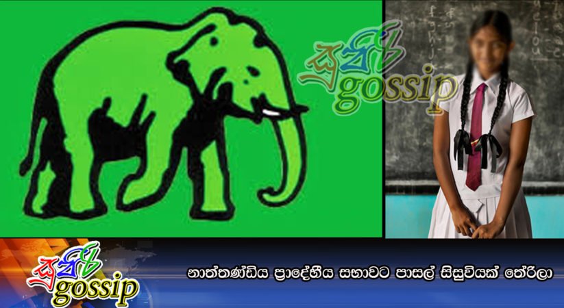 නාත්තණ්ඩිය ප්‍රාදේහීය සභාවට පාසල් සිසුවියක් තේරිලා