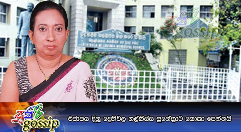 එජාපය දිනූ දෙහිවල ගල්කිස්ස සුනේත්‍රාට කොකා පෙන්නයි