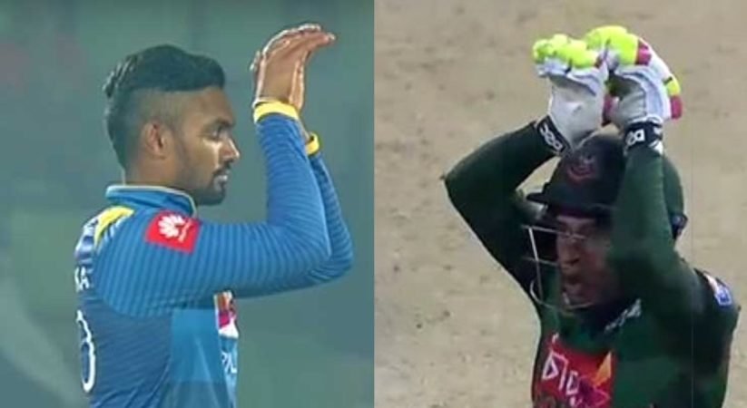 මුෂ්ෆිකර්ගේ නයාට උත්තර දෙන්න සිංහයෝ අද පිටියට බසී.. කණ්ඩායම් 02 ගැන ඉගියක් මෙන්න..