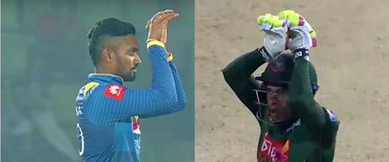 මුෂ්ෆිකර්ගේ නයාට උත්තර දෙන්න සිංහයෝ අද පිටියට බසී.. කණ්ඩායම් 02 ගැන ඉගියක් මෙන්න..