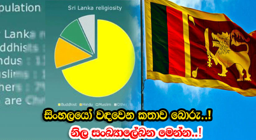 සිංහලයෝ වඳවෙන කතාව බොරු – දිනෙන් දින ඉහලට..! – ඇත්තම කතාව දත්ත එක්ක මෙන්න..!