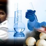 වඳපෙති කියමින් රට ගිනි තියපු අම්පාරේ පරාටේ එක ඇතුලේ තිබුණු දේ ගැන රස පරීක්ෂක වාර්තාව මෙන්න.