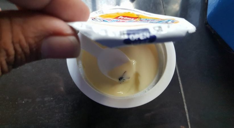 Prima Stella යෝගට් එකේ ඇතුලේ මැස්සෙක්… වැරදිකරුවන් රකින්න පොලිසියෙනුත් සහය…