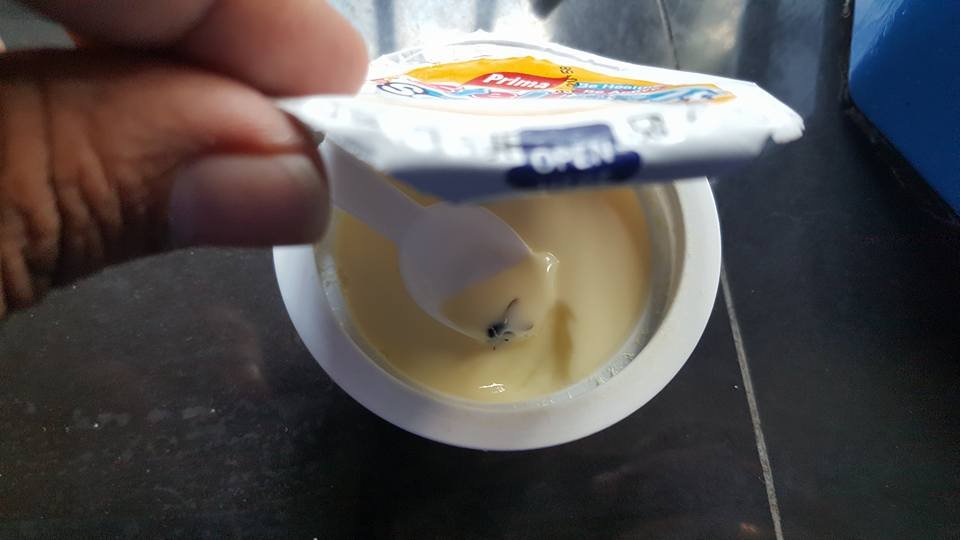 Prima Stella යෝගට් එකේ ඇතුලේ මැස්සෙක්… වැරදිකරුවන් රකින්න පොලිසියෙනුත් සහය…