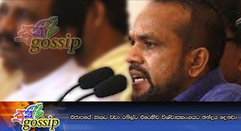 එජාපයේ 25කට වඩා රනිල්ට එරෙහිව විශ්වාසභංගයට ඡන්දය දෙනවා