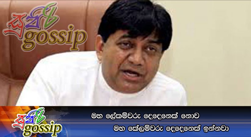 මහ ලේකම්වරු දෙදෙනෙක්‌ නොව මහ කේලම්වරු දෙදෙනෙක්‌ ඉන්නවා