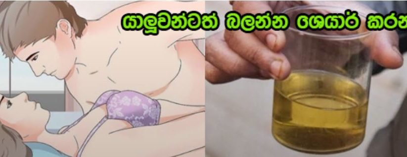 ලිංගිකව එක් වීමෙන් පසු ඔබත් මුත්‍රා කරනවාද?  එමගින් ඔබට සිදු වෙනදේ මෙන්න….