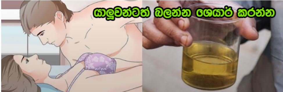 ලිංගිකව එක් වීමෙන් පසු ඔබත් මුත්‍රා කරනවාද?  එමගින් ඔබට සිදු වෙනදේ මෙන්න….