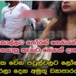 ළමයි නැති බැඳපු අයගේ ඒ ඒ හැටියට තමයි අපි කොල්ලො කෙල්ලෝ සෙට් කරලා වැඩේ කරලා දෙන්නේ