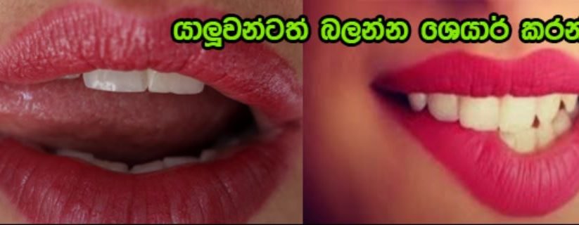 පිරිමි ඔබට ලිංගිකත්වයේදී වඩාත් වැදගත්වන කාන්තාවකගේ අධි සෘංගාත්මක කලාප මෙන්න….