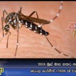 2018 මුල් මාස හතර ඇතුලත ඩෙංගු රෝගීන් 17028 ක් වාර්තා වෙලා