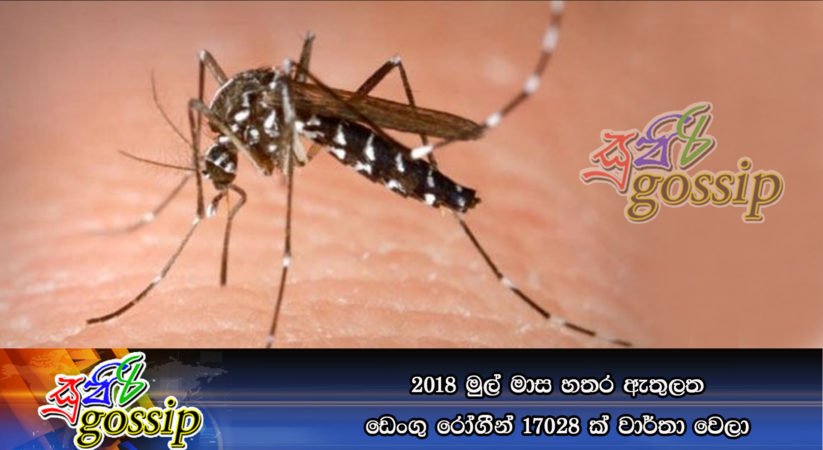 2018 මුල් මාස හතර ඇතුලත ඩෙංගු රෝගීන් 17028 ක් වාර්තා වෙලා