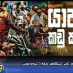 යාපනයේ “ආවා කල්ලිය” යලි හොල්මං කරයි