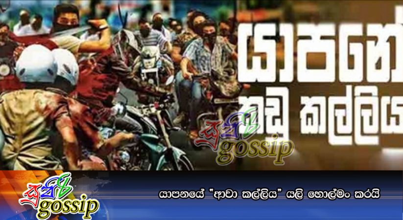 යාපනයේ “ආවා කල්ලිය” යලි හොල්මං කරයි