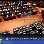 ඉදිරි දිනකීපය තුල තවත් ඇමැති ධුර කිහිපයක වෙනසක්