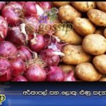 අර්තාපල් සහ ලොකු ළුණු සඳහා බදු ඉහළට