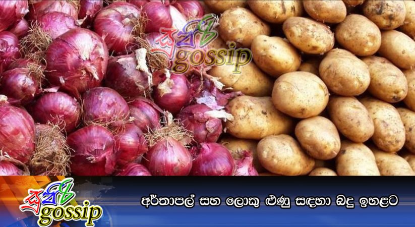 අර්තාපල් සහ ලොකු ළුණු සඳහා බදු ඉහළට