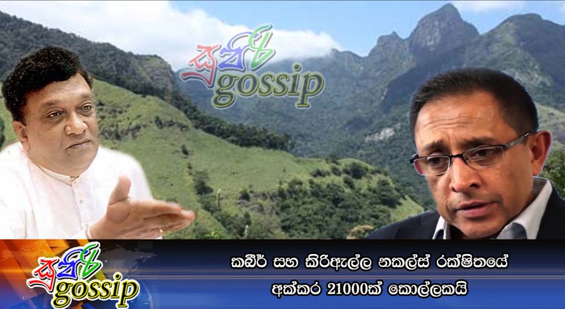 කබීර් සහ කිරිඇල්ල නකල්ස් රක්ෂිතයේ අක්කර 21000ක් කොල්ලකයි