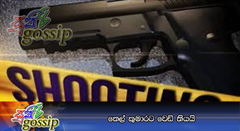 තෙල් කුමාරට වෙඩි තියයි