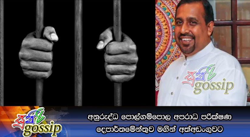අනුරුද්ධ පොල්ගම්පොල අපරාධ පරික්ෂණ දෙපාර්තමේන්තුව මගින් අත්අඩංගුවට