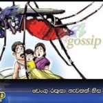 ඩෙංගු රකුසා නැවතත් හිස ඔසවයි