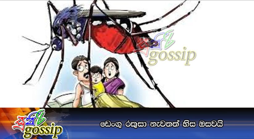 ඩෙංගු රකුසා නැවතත් හිස ඔසවයි