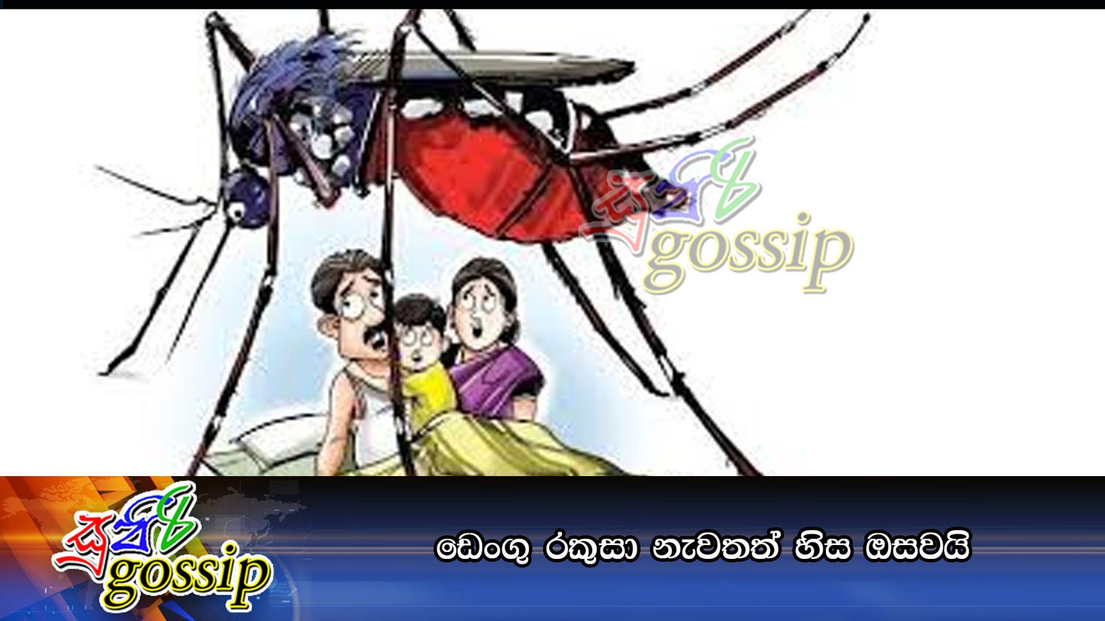 ඩෙංගු රකුසා නැවතත් හිස ඔසවයි