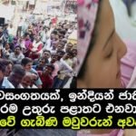 ඉන්දියන් ජාතිකයෝ නිතරම උතුරු පළාතට එන නිසා ශ්‍රී ලංකාවේ ගැබිණි මවුවරුන් අවදානමක…!