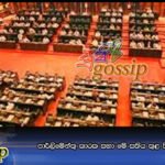 පාර්ලිමේන්තු කාරක සභා මේ සතිය තුළ පිහිටුවීමට පියවර