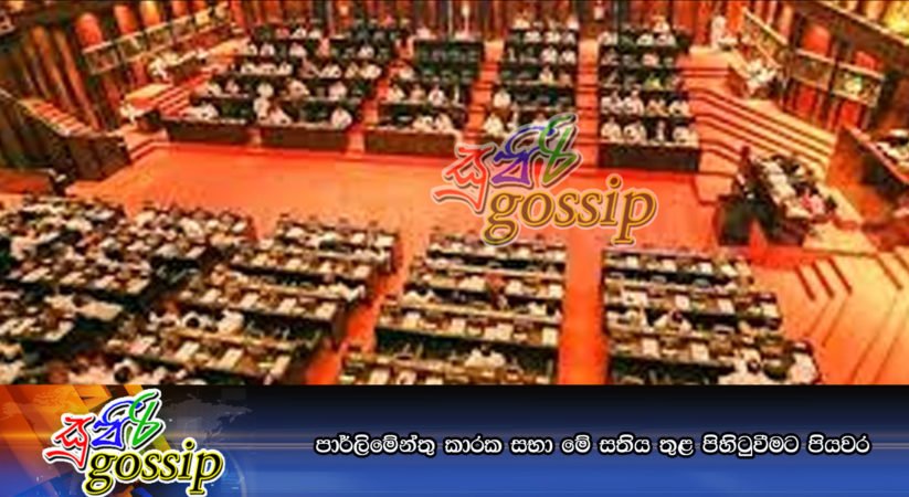 පාර්ලිමේන්තු කාරක සභා මේ සතිය තුළ පිහිටුවීමට පියවර