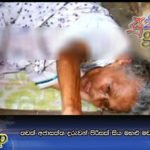 තවත් අජාසත්ත දරුවන් පිරිසක් සිය මහළු මව කුටියක සිරකරයි