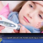 දකුණේ වෛරස් උණ අනෙක් පළාත් වලටද පැතිර යාමේ අවදානමක්
