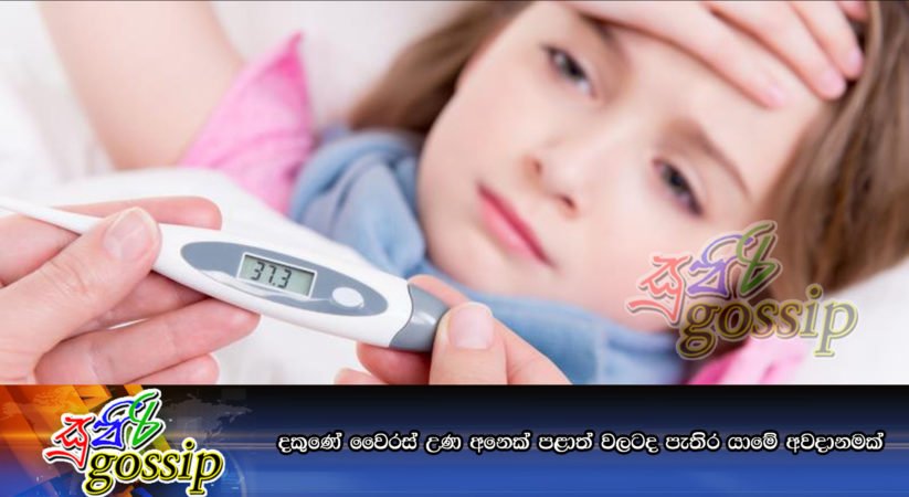 දකුණේ වෛරස් උණ අනෙක් පළාත් වලටද පැතිර යාමේ අවදානමක්