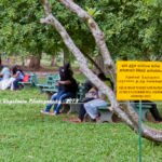 කෙල්ලන්ගේ පියයුරුවල විවිධත්වය අනුව කෙල්ලව ලිංගිකව එක්වීමේදී සනසන අයුරු මෙන්න..