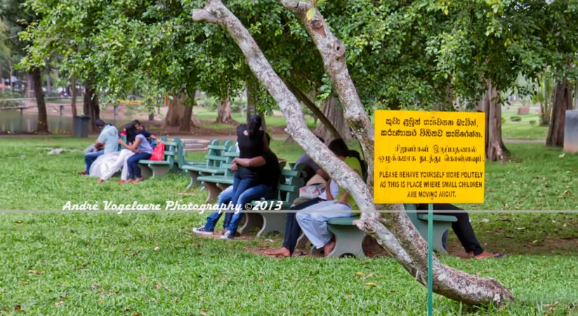 කෙල්ලන්ගේ පියයුරුවල විවිධත්වය අනුව කෙල්ලව ලිංගිකව එක්වීමේදී සනසන අයුරු මෙන්න..